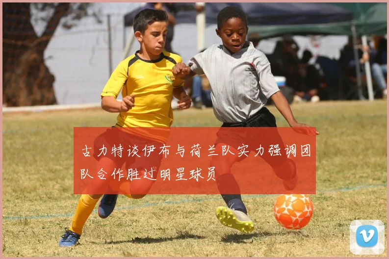 古力特谈伊布与荷兰队实力强调团队合作胜过明星球员