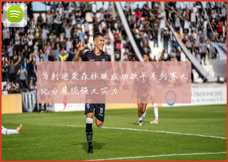 马刺逆袭森林狼成功扳平系列赛大比分展现强大实力